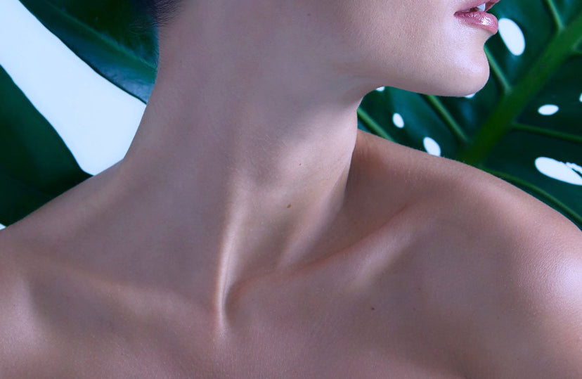 BEAUTY BELOW THE CHIN