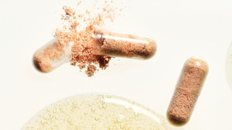 The Science of Hair Renewal: Why Lasting Results Begin Long Before the Strand