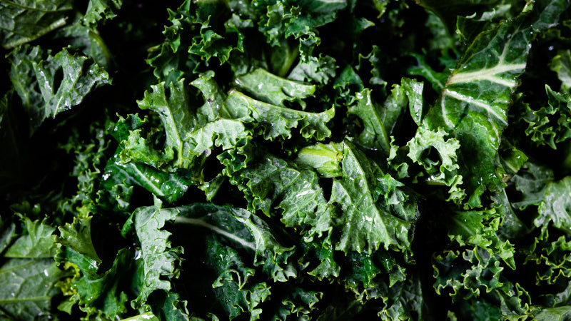 Celebrate National Kale Day: A Vitamin-Packed Superfood