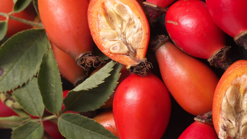 Demystifying Ingredients: The Benefits of Rose Hip Oil