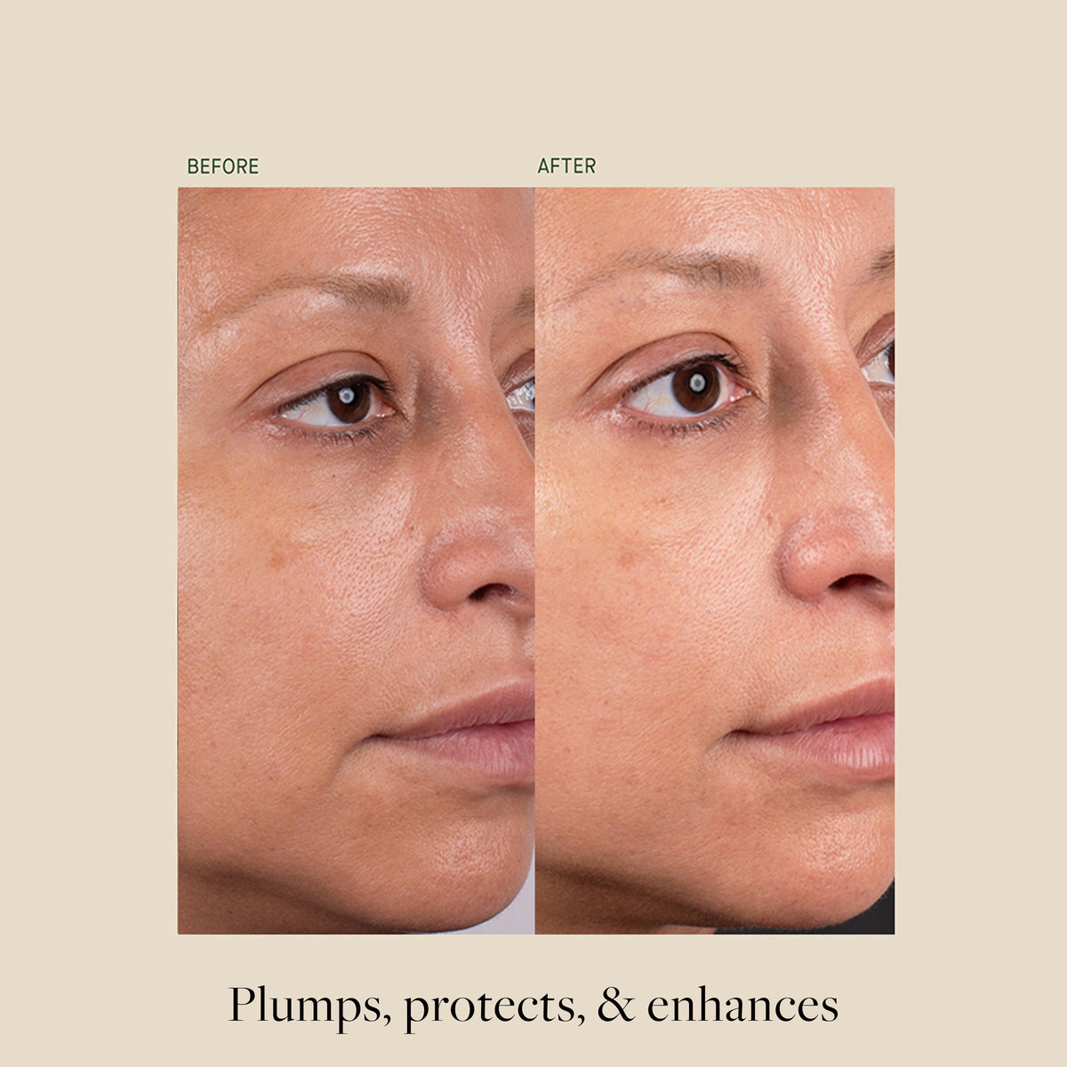 Silk Protein Primer