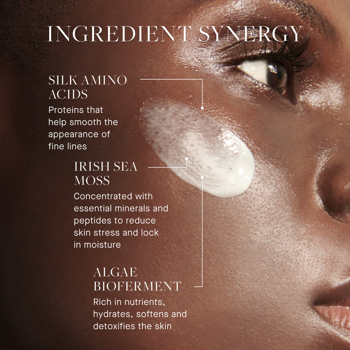 Silk Protein Primer