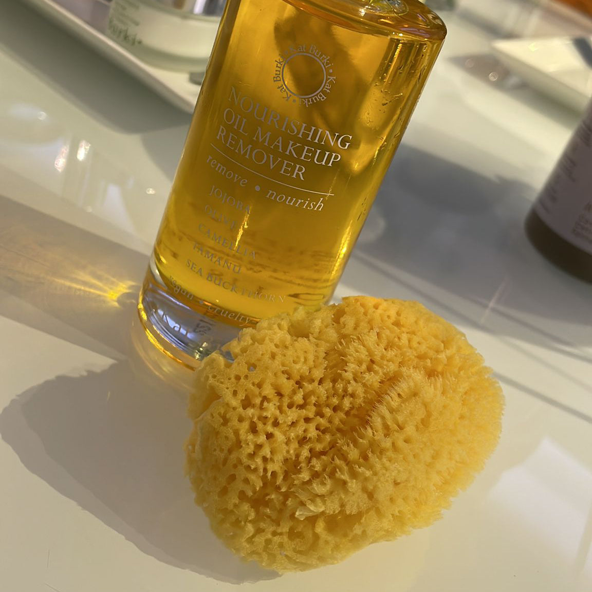Caribbean Silk Sea Sponge